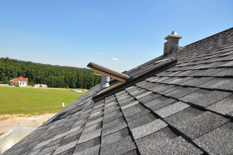 Asphalt Shingle Roof Installation Vs. Other Roofing Options
